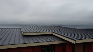 Best Roof Leak Repair  in Black Mountain, NC